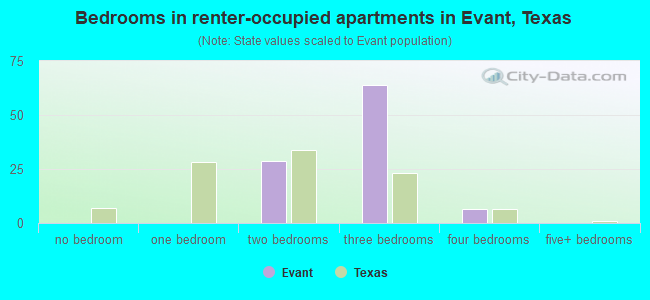 Bedrooms in renter-occupied apartments in Evant, Texas
