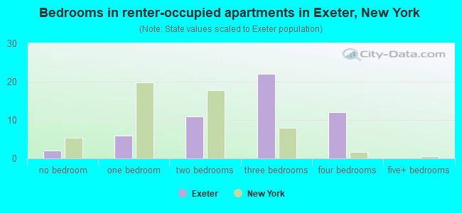 Bedrooms in renter-occupied apartments in Exeter, New York