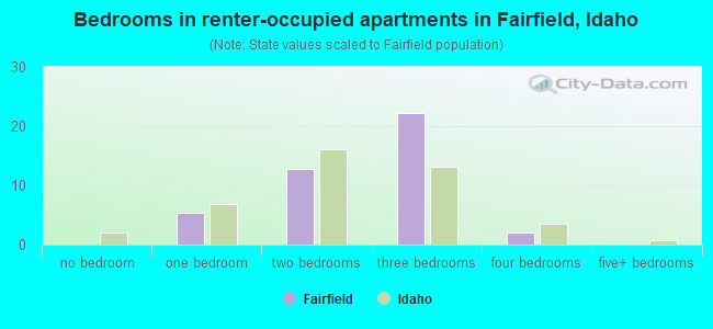Bedrooms in renter-occupied apartments in Fairfield, Idaho