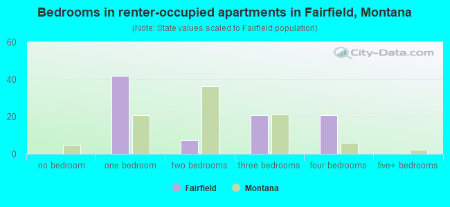 Bedrooms in renter-occupied apartments in Fairfield, Montana