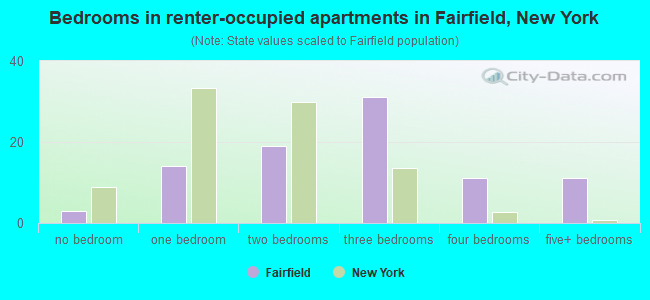 Bedrooms in renter-occupied apartments in Fairfield, New York