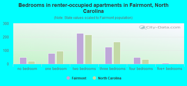 Bedrooms in renter-occupied apartments in Fairmont, North Carolina