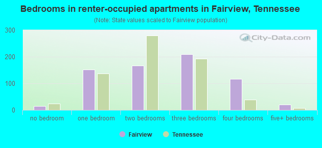 Bedrooms in renter-occupied apartments in Fairview, Tennessee