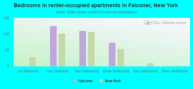 Bedrooms in renter-occupied apartments in Falconer, New York