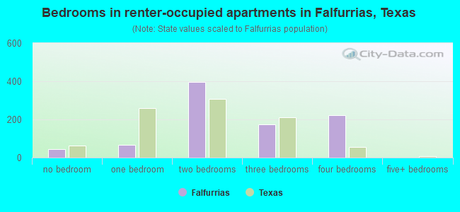 Bedrooms in renter-occupied apartments in Falfurrias, Texas