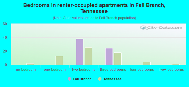 Bedrooms in renter-occupied apartments in Fall Branch, Tennessee