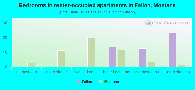 Bedrooms in renter-occupied apartments in Fallon, Montana