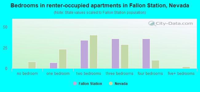 Bedrooms in renter-occupied apartments in Fallon Station, Nevada