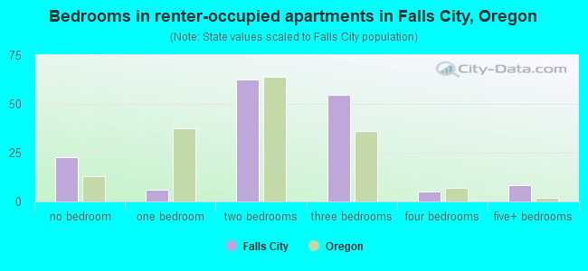 Bedrooms in renter-occupied apartments in Falls City, Oregon