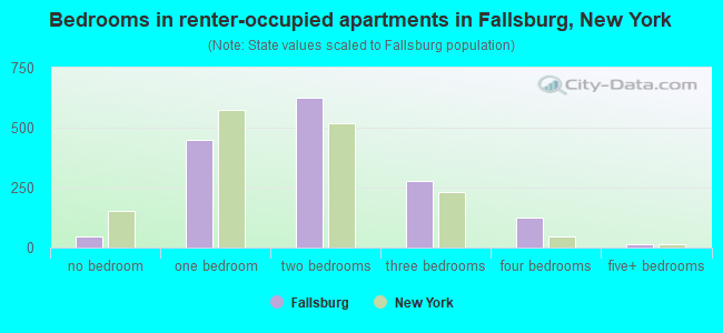 Bedrooms in renter-occupied apartments in Fallsburg, New York