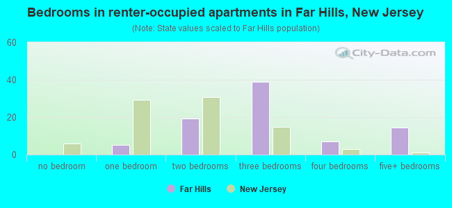 Bedrooms in renter-occupied apartments in Far Hills, New Jersey