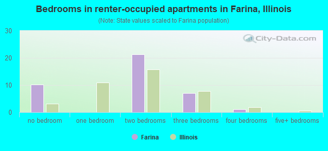 Bedrooms in renter-occupied apartments in Farina, Illinois