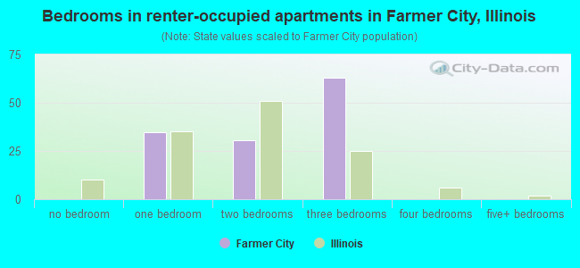 Bedrooms in renter-occupied apartments in Farmer City, Illinois