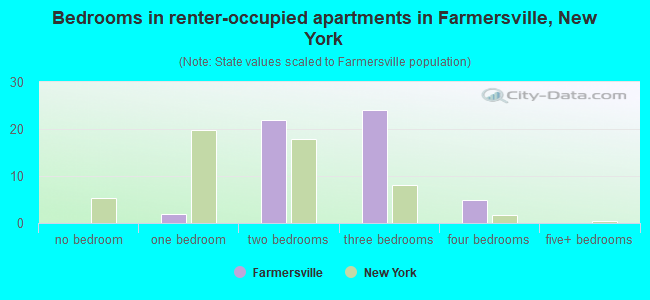 Bedrooms in renter-occupied apartments in Farmersville, New York