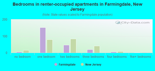 Bedrooms in renter-occupied apartments in Farmingdale, New Jersey