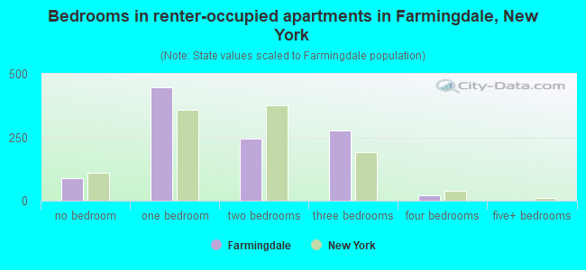 Bedrooms in renter-occupied apartments in Farmingdale, New York