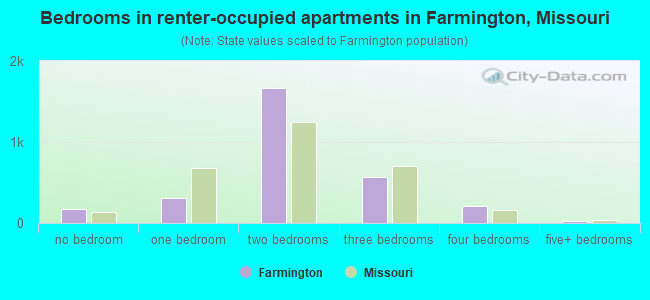 Bedrooms in renter-occupied apartments in Farmington, Missouri
