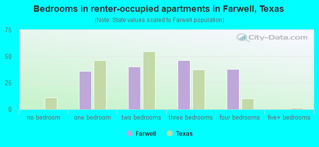 Bedrooms in renter-occupied apartments in Farwell, Texas