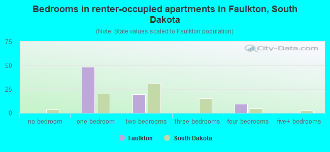 Bedrooms in renter-occupied apartments in Faulkton, South Dakota