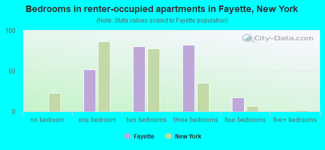 Bedrooms in renter-occupied apartments in Fayette, New York