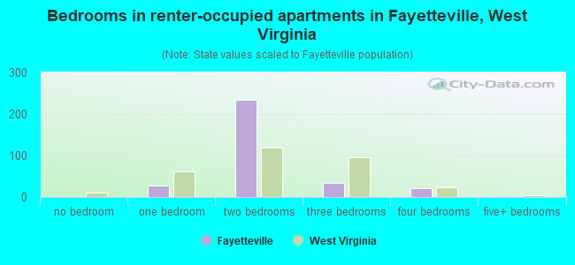 Bedrooms in renter-occupied apartments in Fayetteville, West Virginia