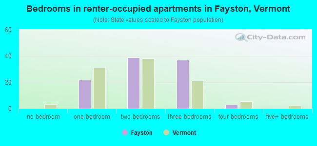 Bedrooms in renter-occupied apartments in Fayston, Vermont