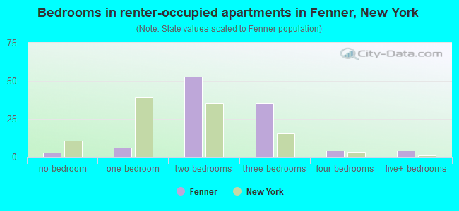 Bedrooms in renter-occupied apartments in Fenner, New York