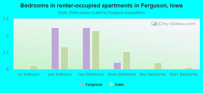 Bedrooms in renter-occupied apartments in Ferguson, Iowa