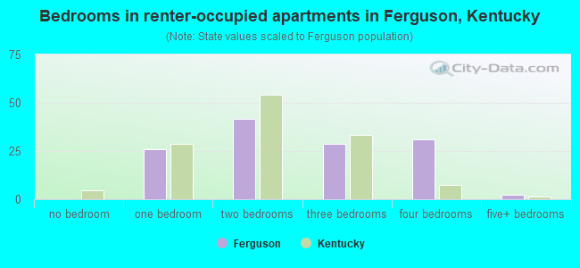 Bedrooms in renter-occupied apartments in Ferguson, Kentucky