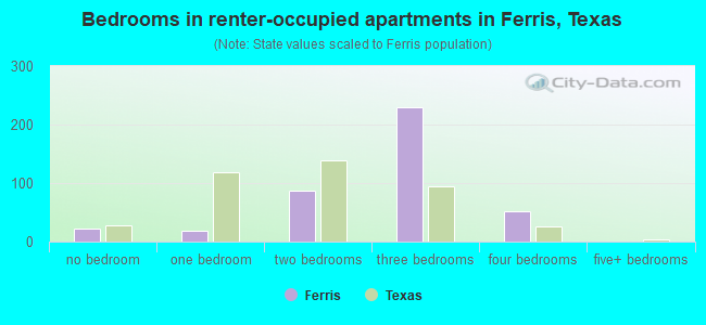 Bedrooms in renter-occupied apartments in Ferris, Texas