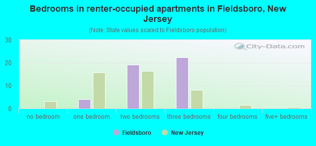 Bedrooms in renter-occupied apartments in Fieldsboro, New Jersey