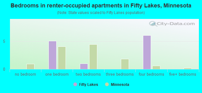 Bedrooms in renter-occupied apartments in Fifty Lakes, Minnesota