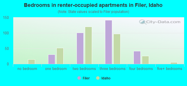 Bedrooms in renter-occupied apartments in Filer, Idaho