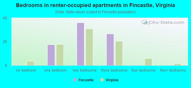 Bedrooms in renter-occupied apartments in Fincastle, Virginia