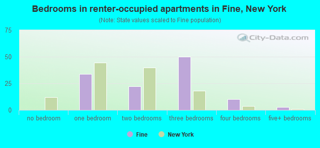 Bedrooms in renter-occupied apartments in Fine, New York