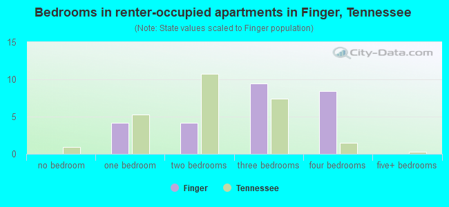 Bedrooms in renter-occupied apartments in Finger, Tennessee