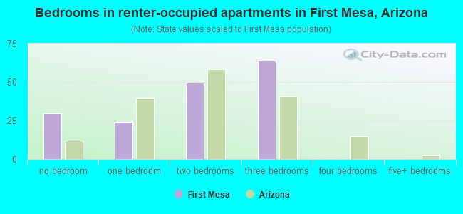 Bedrooms in renter-occupied apartments in First Mesa, Arizona