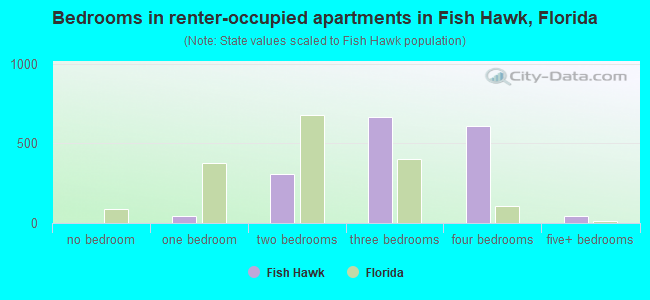 Bedrooms in renter-occupied apartments in Fish Hawk, Florida