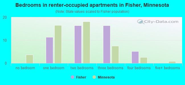 Bedrooms in renter-occupied apartments in Fisher, Minnesota