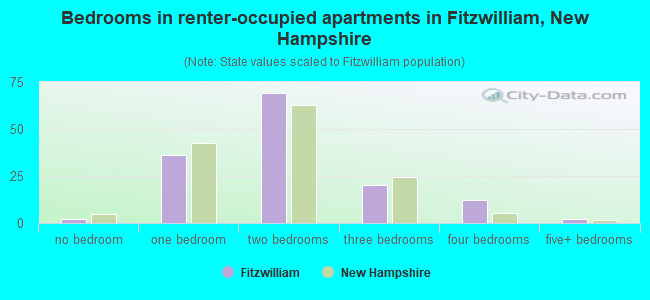 Bedrooms in renter-occupied apartments in Fitzwilliam, New Hampshire