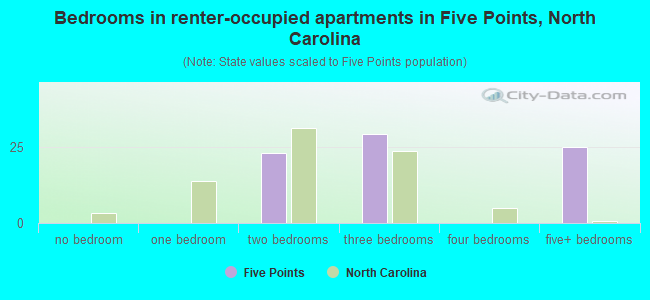 Bedrooms in renter-occupied apartments in Five Points, North Carolina