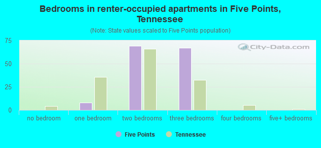 Bedrooms in renter-occupied apartments in Five Points, Tennessee
