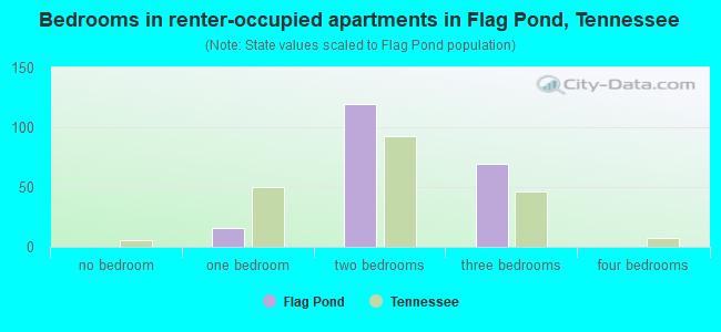 Bedrooms in renter-occupied apartments in Flag Pond, Tennessee