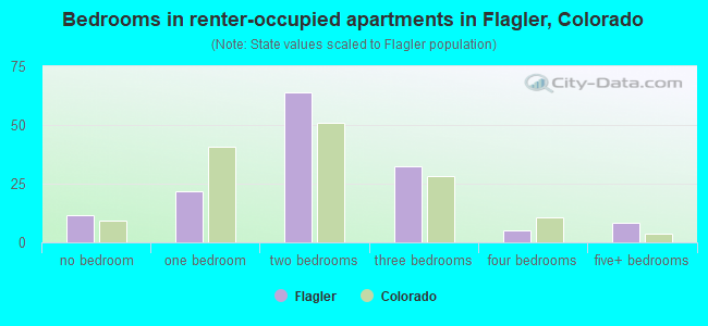 Bedrooms in renter-occupied apartments in Flagler, Colorado
