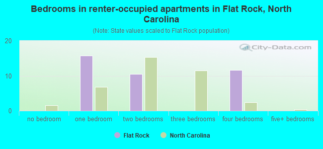 Bedrooms in renter-occupied apartments in Flat Rock, North Carolina