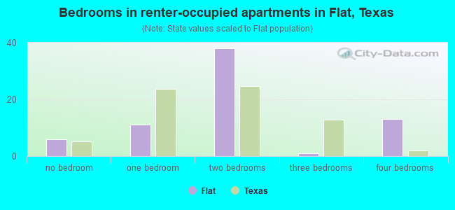 Bedrooms in renter-occupied apartments in Flat, Texas