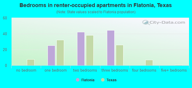 Bedrooms in renter-occupied apartments in Flatonia, Texas