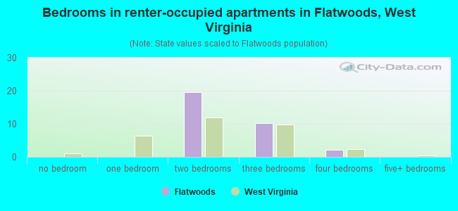 Bedrooms in renter-occupied apartments in Flatwoods, West Virginia