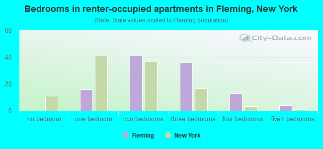 Bedrooms in renter-occupied apartments in Fleming, New York