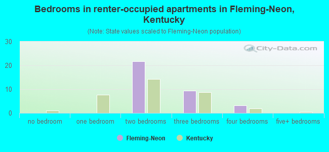 Bedrooms in renter-occupied apartments in Fleming-Neon, Kentucky